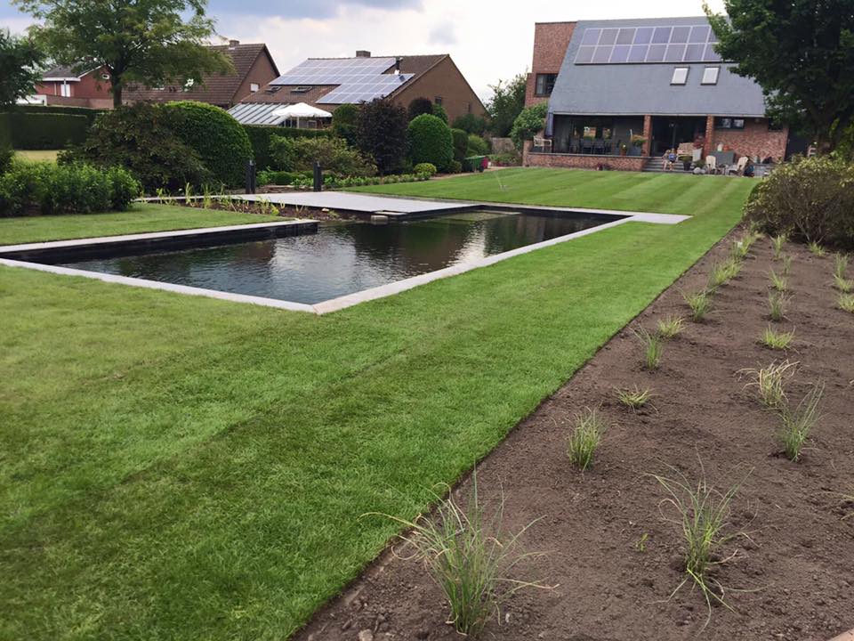 Zwemvijvers - Cis Van der Linden Tuinaanneming en -Architectuur