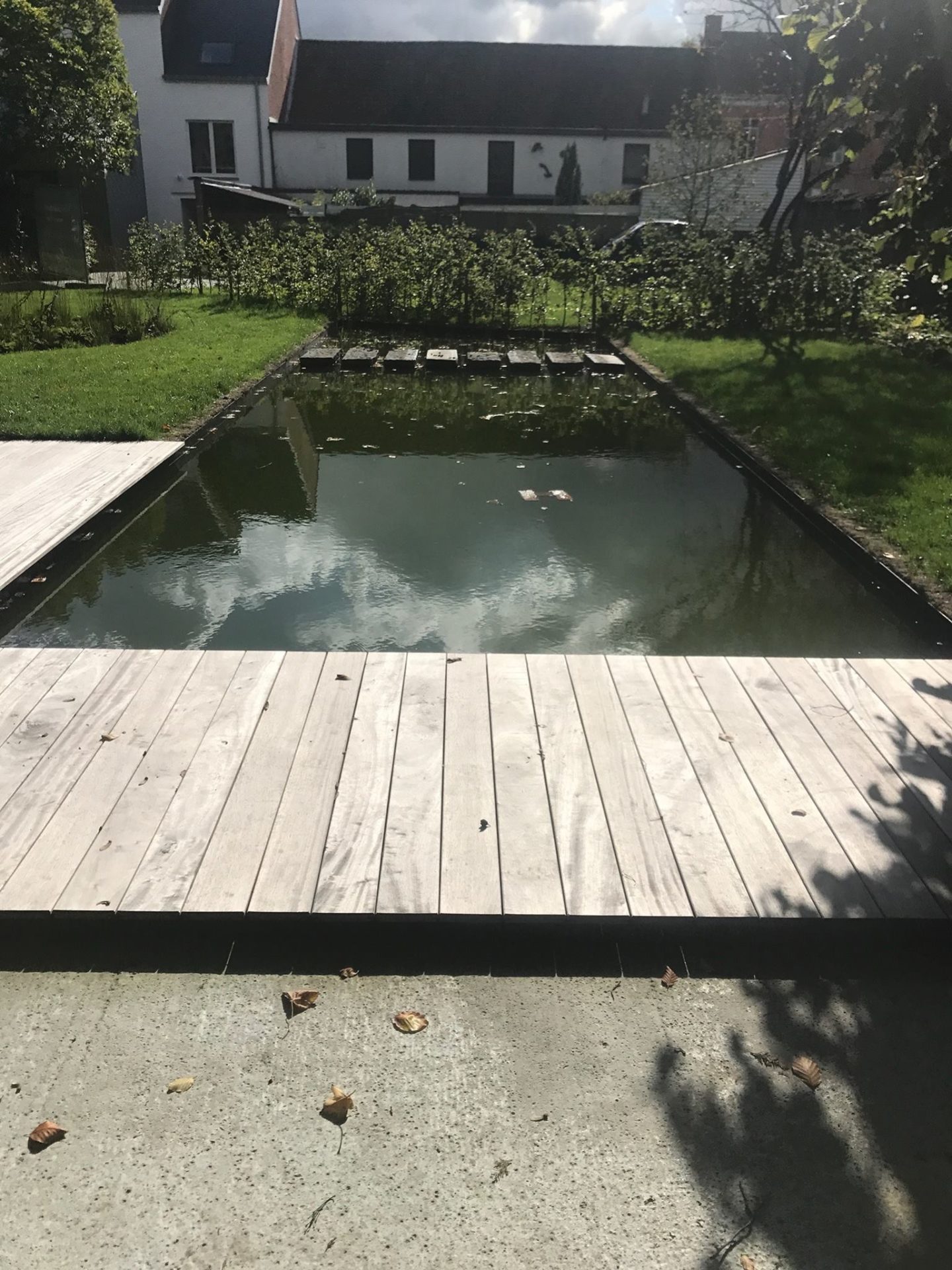 Zwemvijvers - Cis Van der Linden Tuinaanneming en -Architectuur