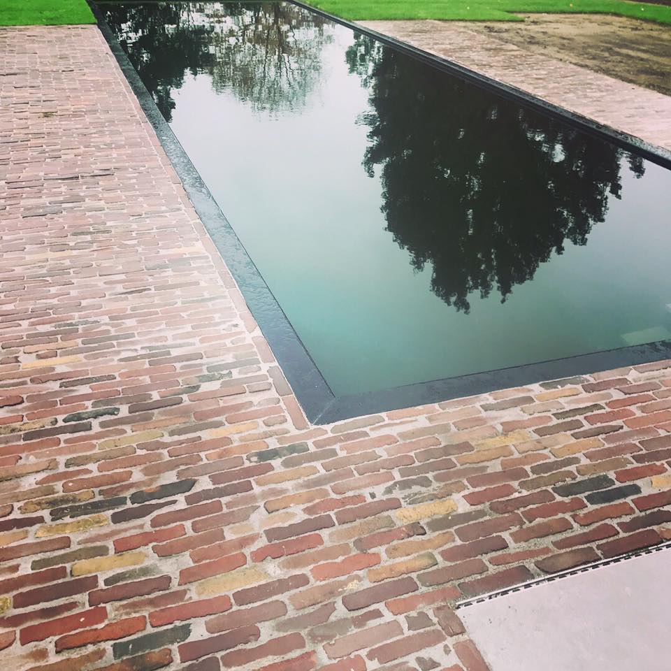 Zwemvijvers - Cis Van der Linden Tuinaanneming en -Architectuur