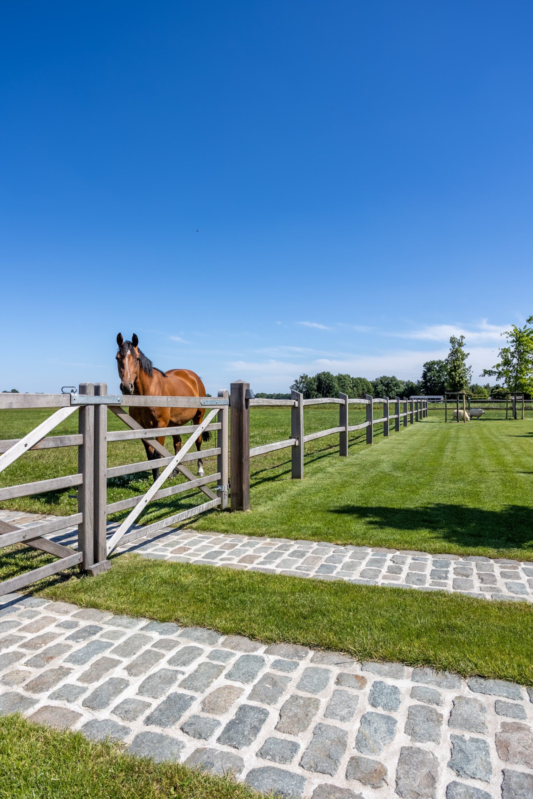 Landschapstuin te Loenhout - Cis Van der Linden Tuinaanneming en -Architectuur