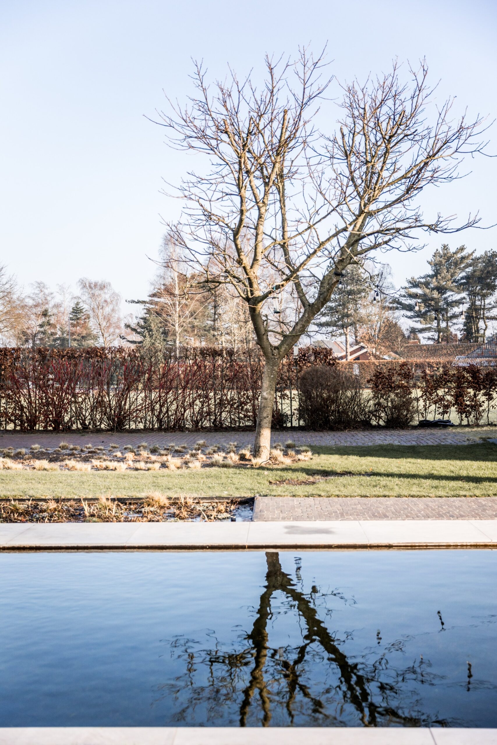 Uitbreiding landschapstuin Meerle - Cis Van der Linden Tuinaanneming en -Architectuur