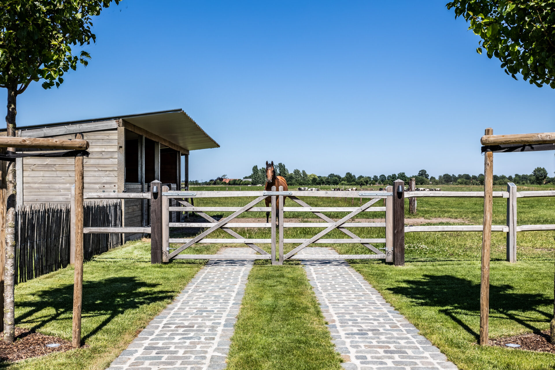 Green Horse Projects - Cis Van der Linden Tuinaanneming en -Architectuur
