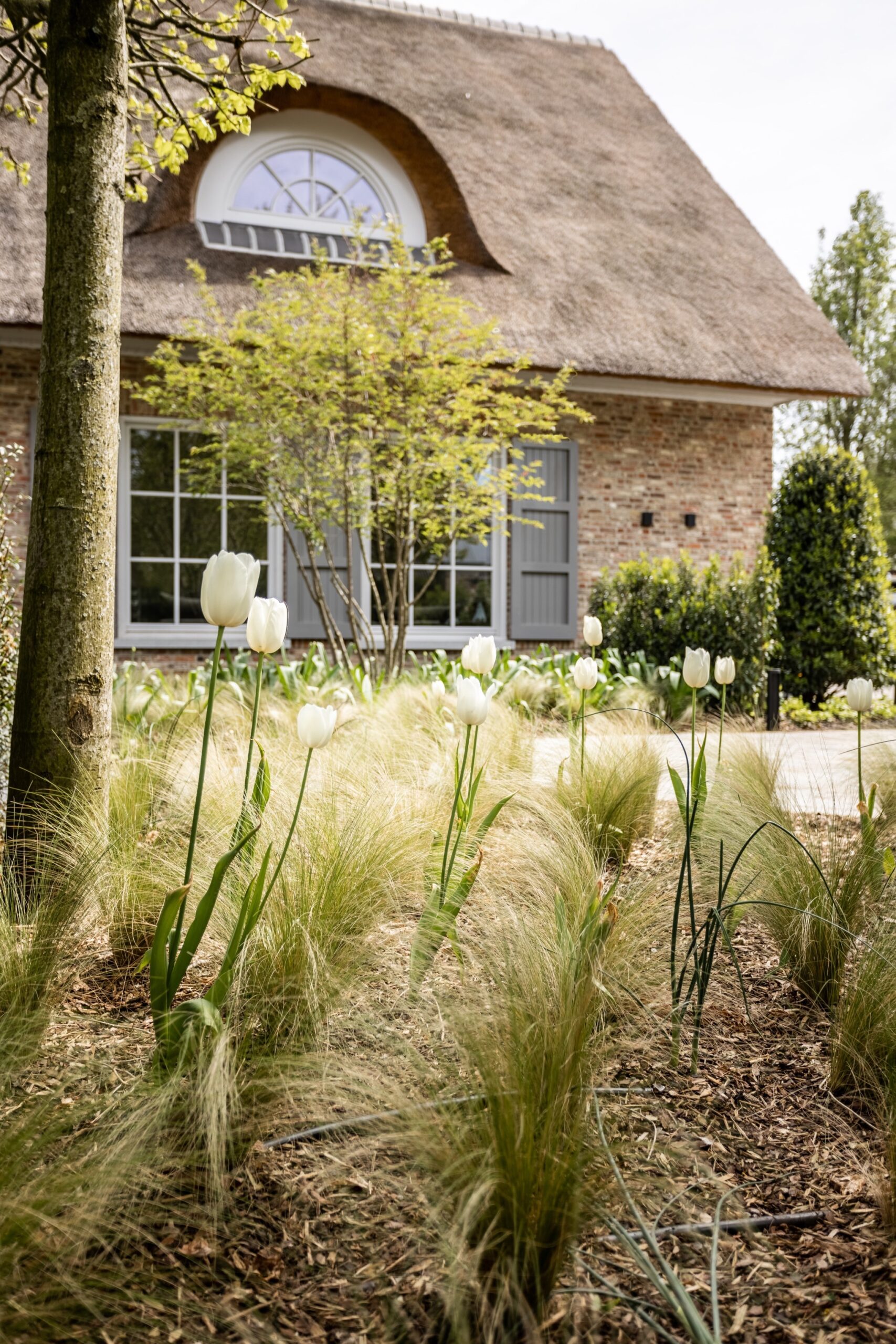 Landelijke tuin te Meerle - Cis Van der Linden Tuinaanneming en -Architectuur