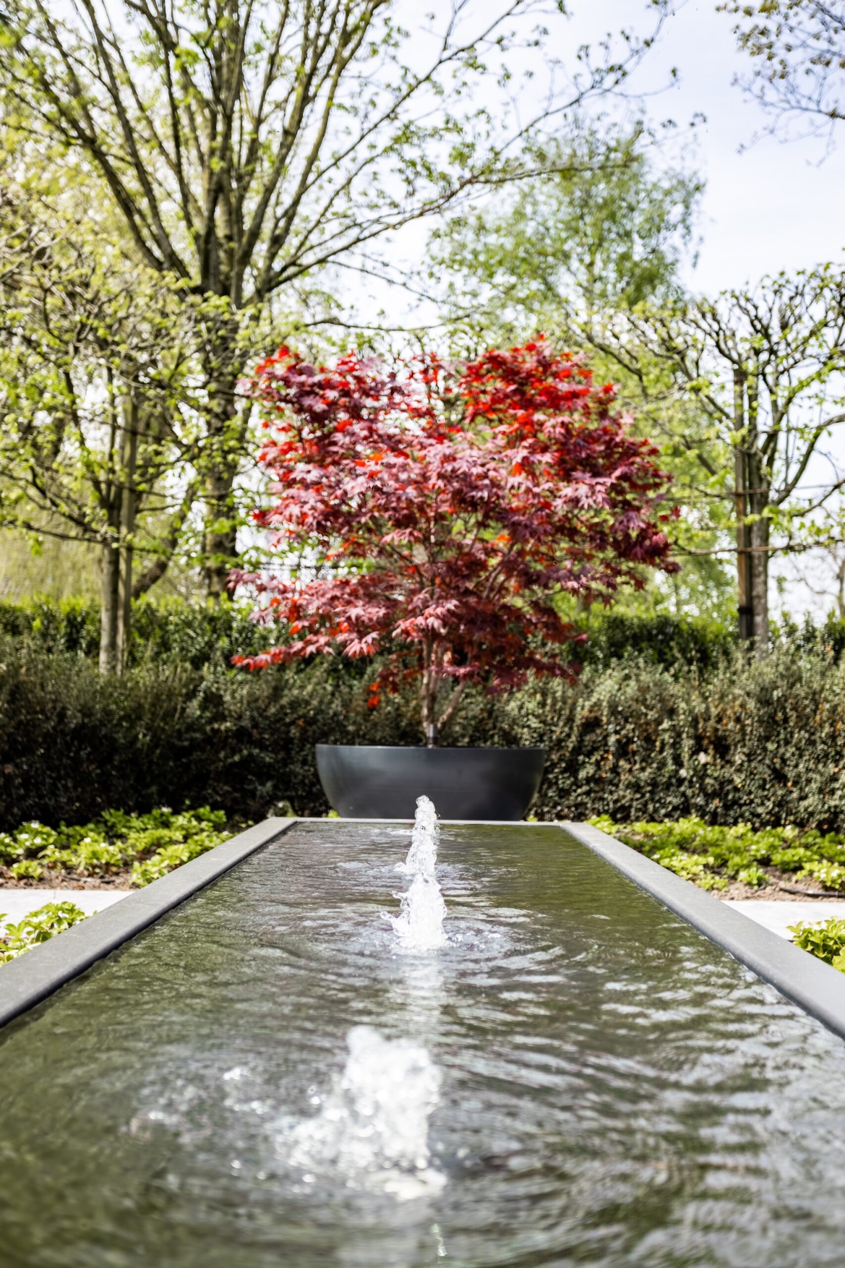 Landelijke tuin te Meerle - Cis Van der Linden Tuinaanneming en -Architectuur