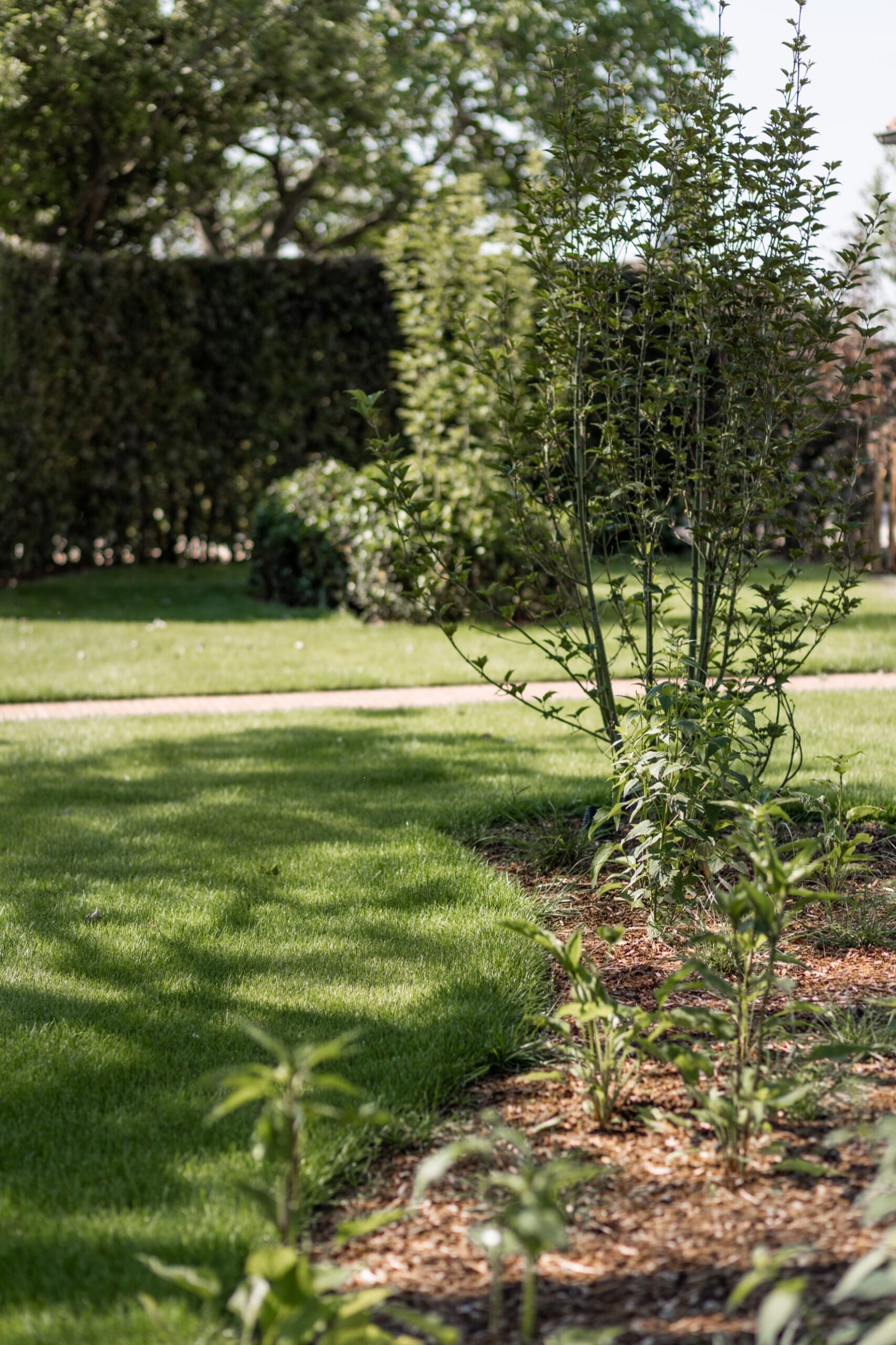 Betoverende Landelijke tuin - Cis Van der Linden Tuinaanneming en -Architectuur