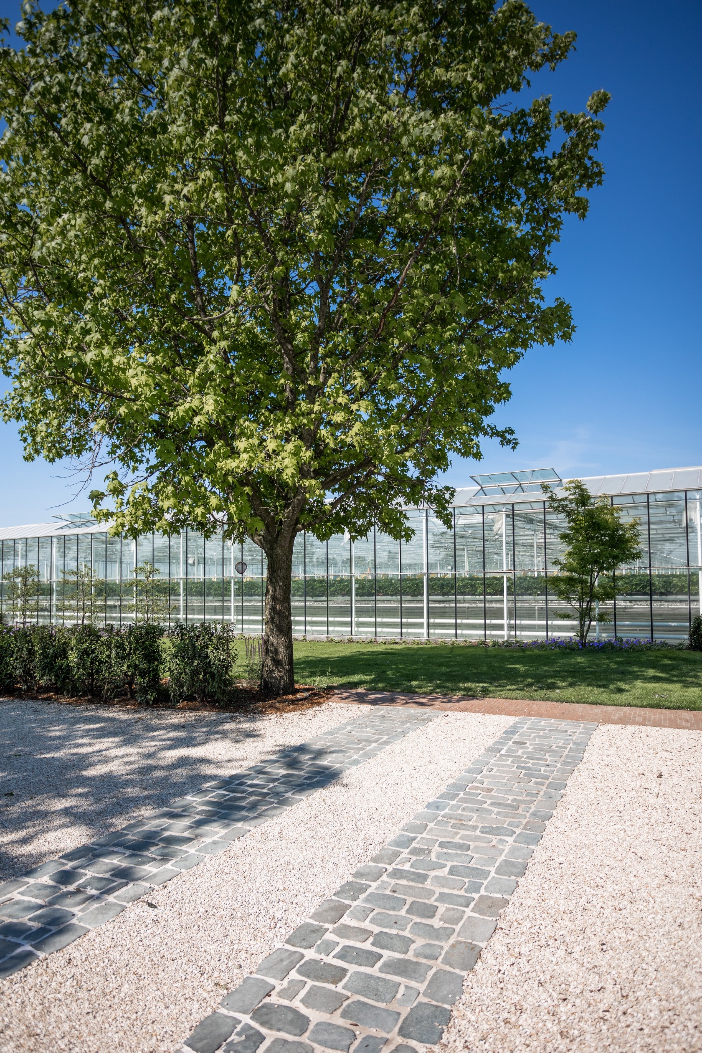 Betoverende Landelijke tuin - Cis Van der Linden Tuinaanneming en -Architectuur