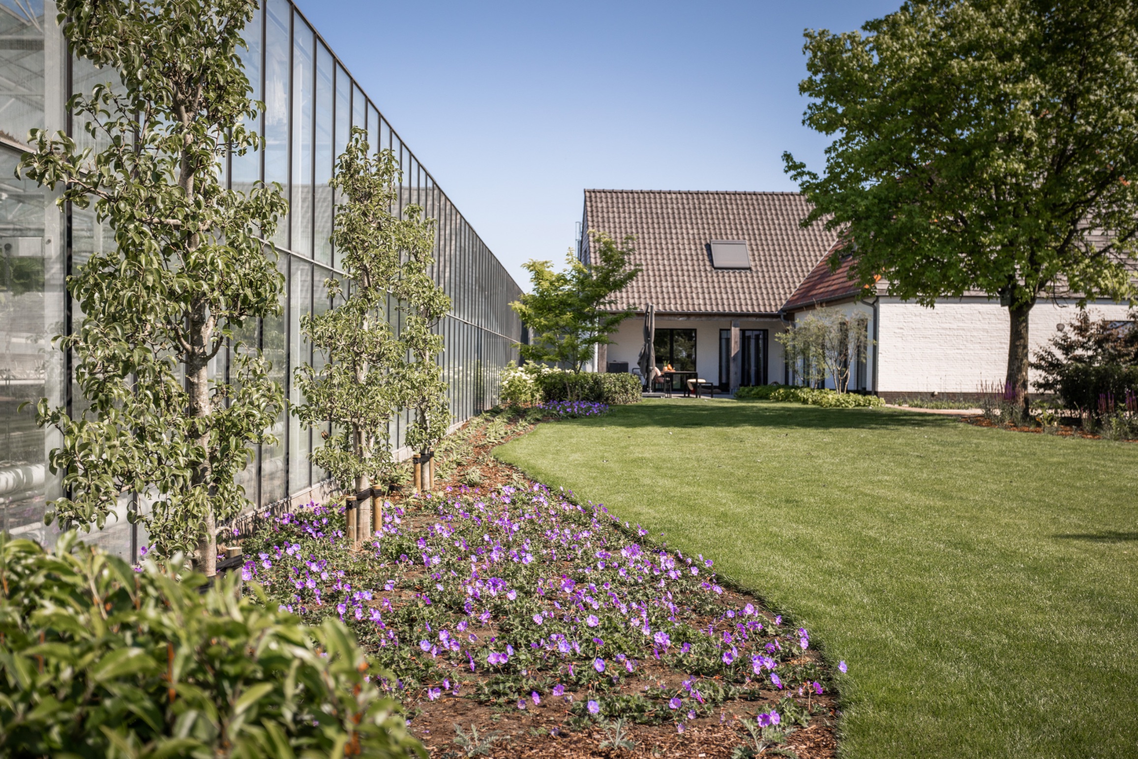 Betoverende Landelijke tuin - Cis Van der Linden Tuinaanneming en -Architectuur