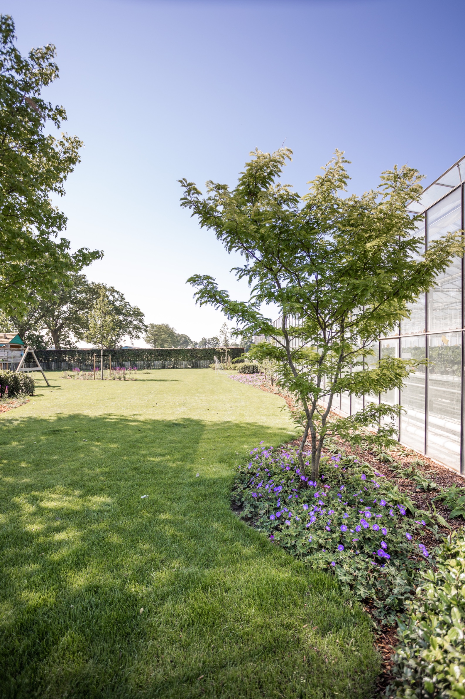 Betoverende Landelijke tuin - Cis Van der Linden Tuinaanneming en -Architectuur