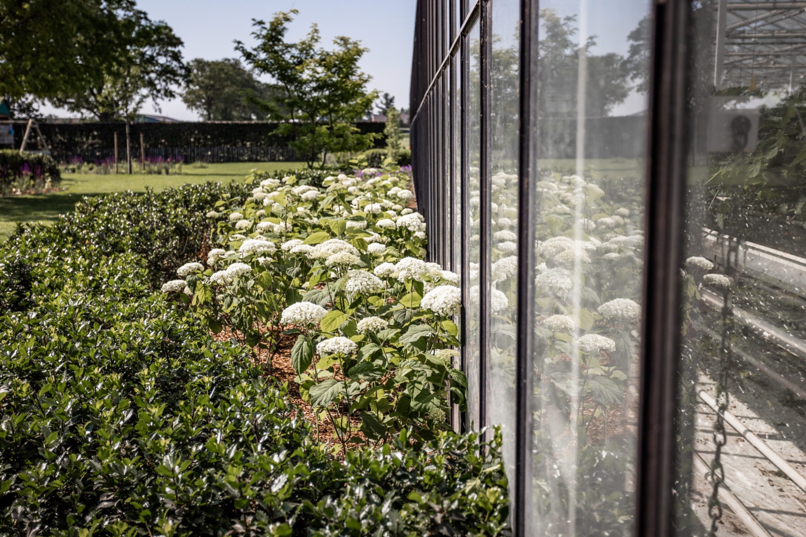 Betoverende Landelijke tuin - Cis Van der Linden Tuinaanneming en -Architectuur