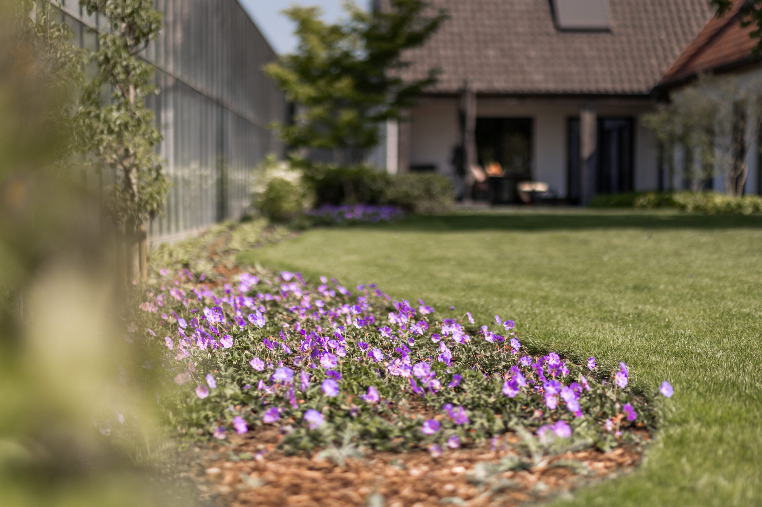 Betoverende Landelijke tuin - Cis Van der Linden Tuinaanneming en -Architectuur