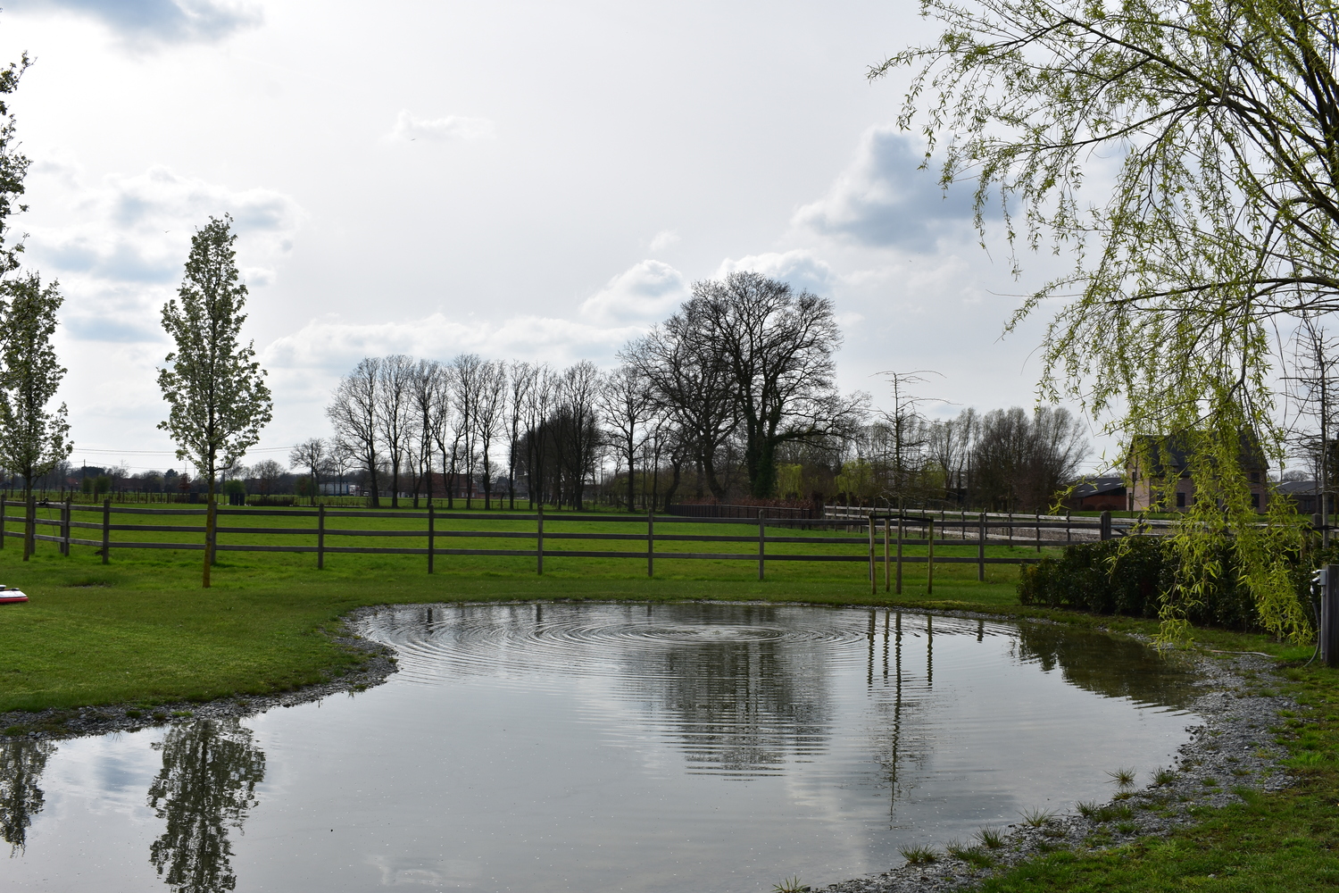 Hippisch project te Brecht - Cis Van der Linden Tuinaanneming en -Architectuur