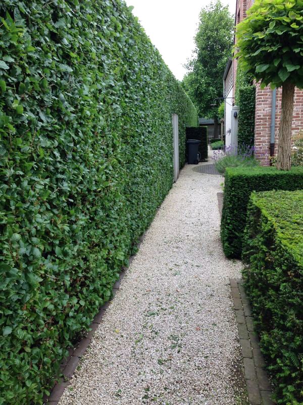 Tuinonderhoud - Cis Van der Linden Tuinaanneming en -Architectuur