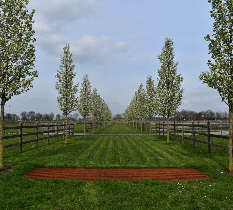 Hippisch project te Brecht - Cis Van der Linden Tuinaanneming en -Architectuur